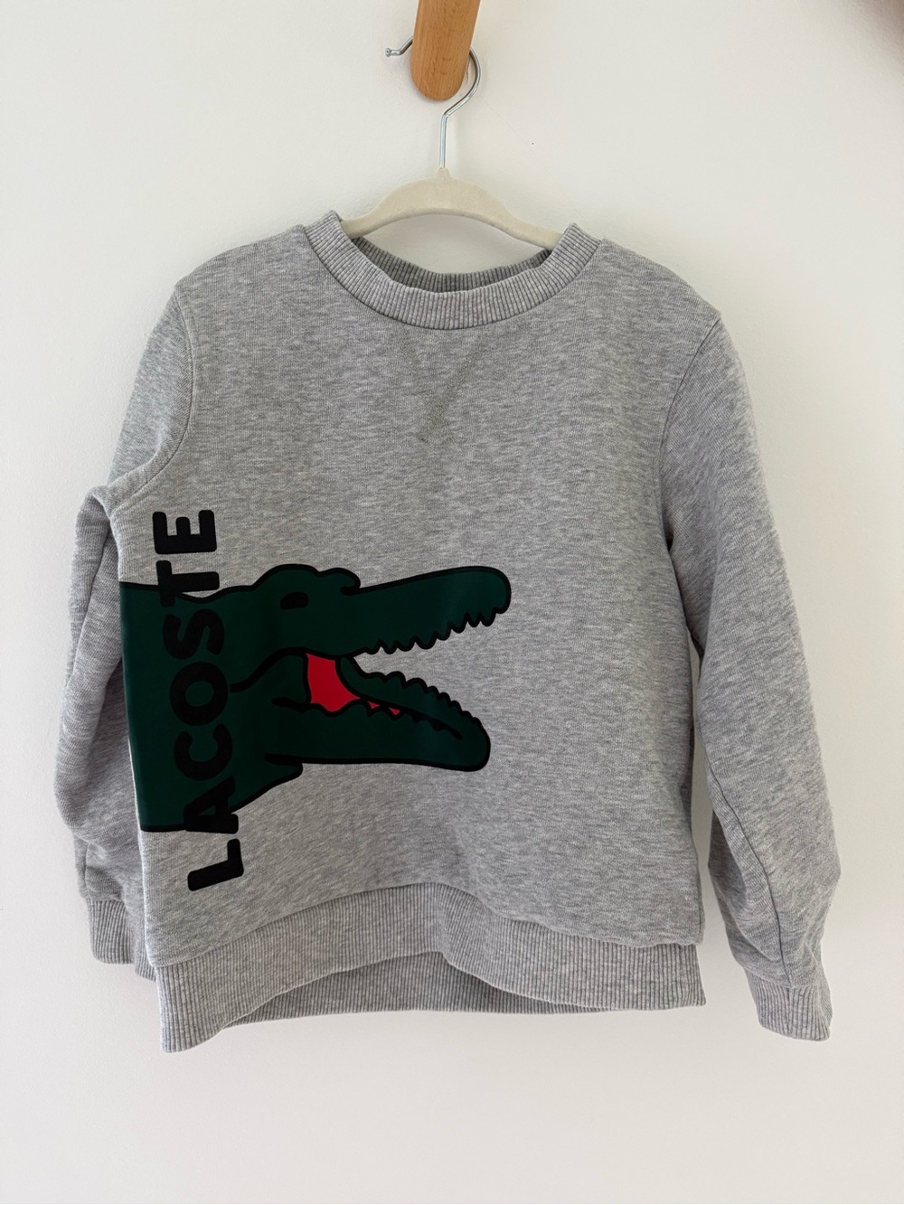 Boys Lacoste Sweatshirt